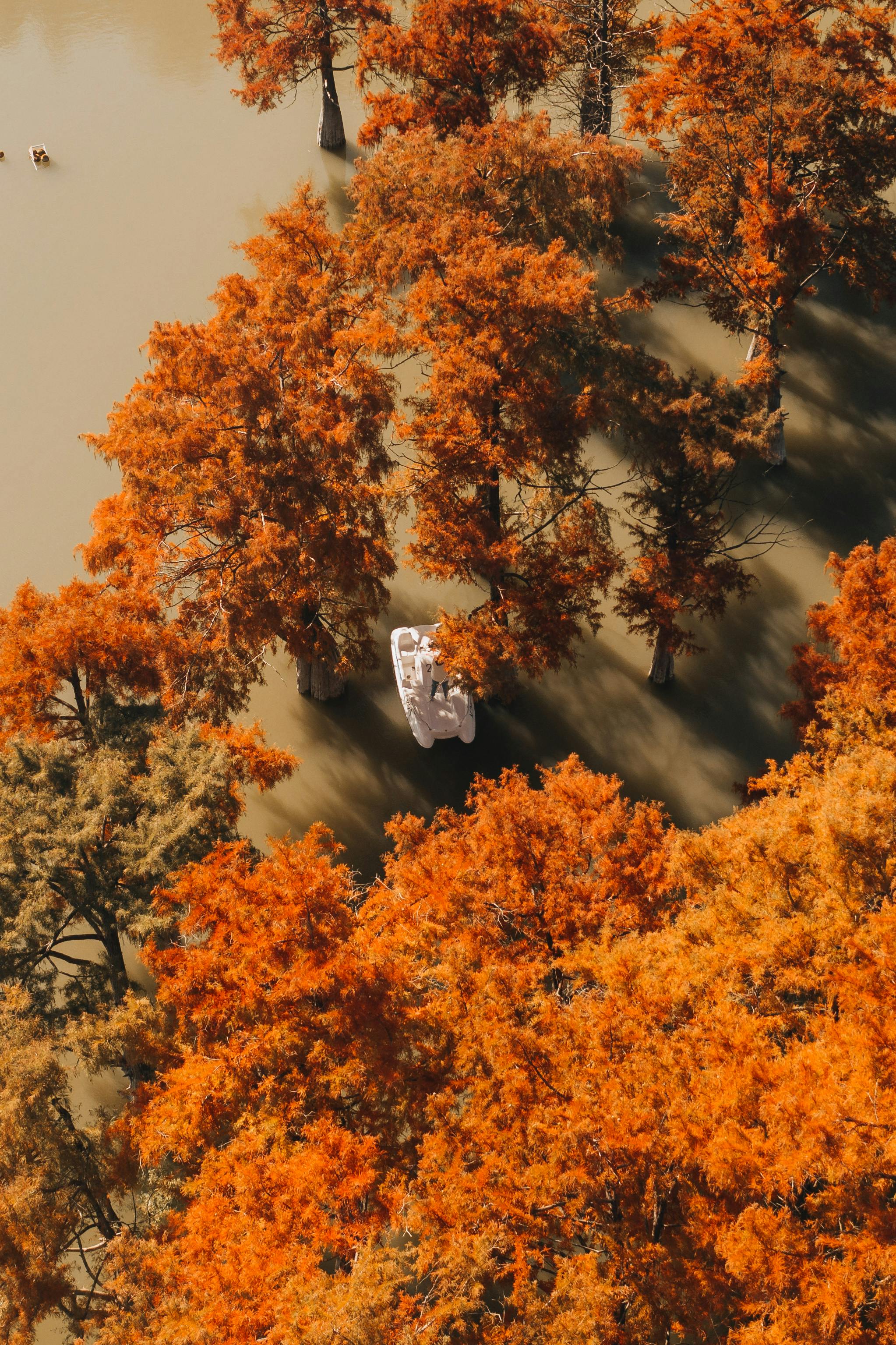 A stunning aerial shot of a boat among vibrant autumn trees in Sukko, Russia.