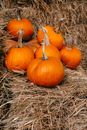 Pumpkins on Heap of Straw