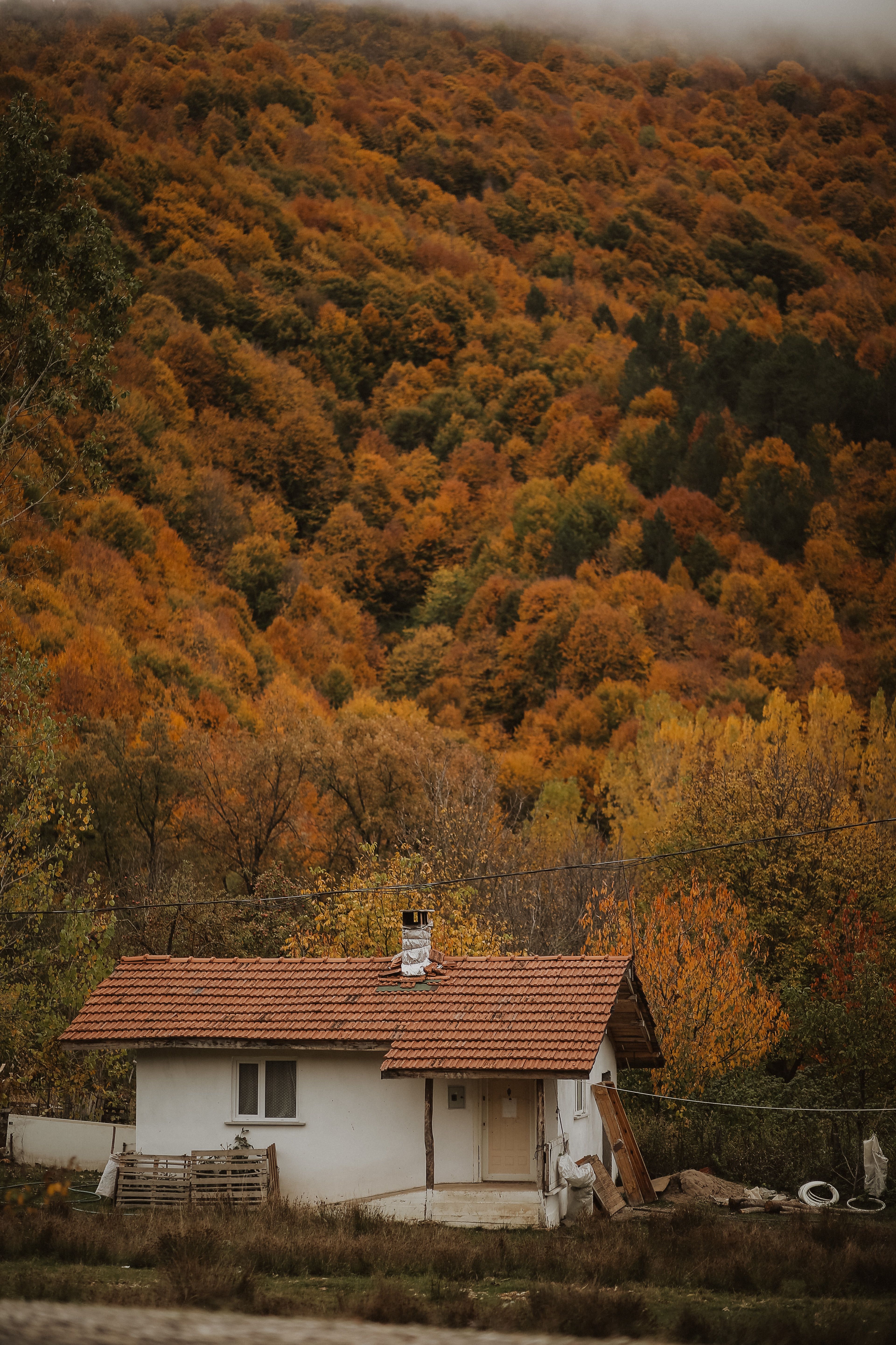 A quaint house nestled among vibrant fall foliage on a hillside.