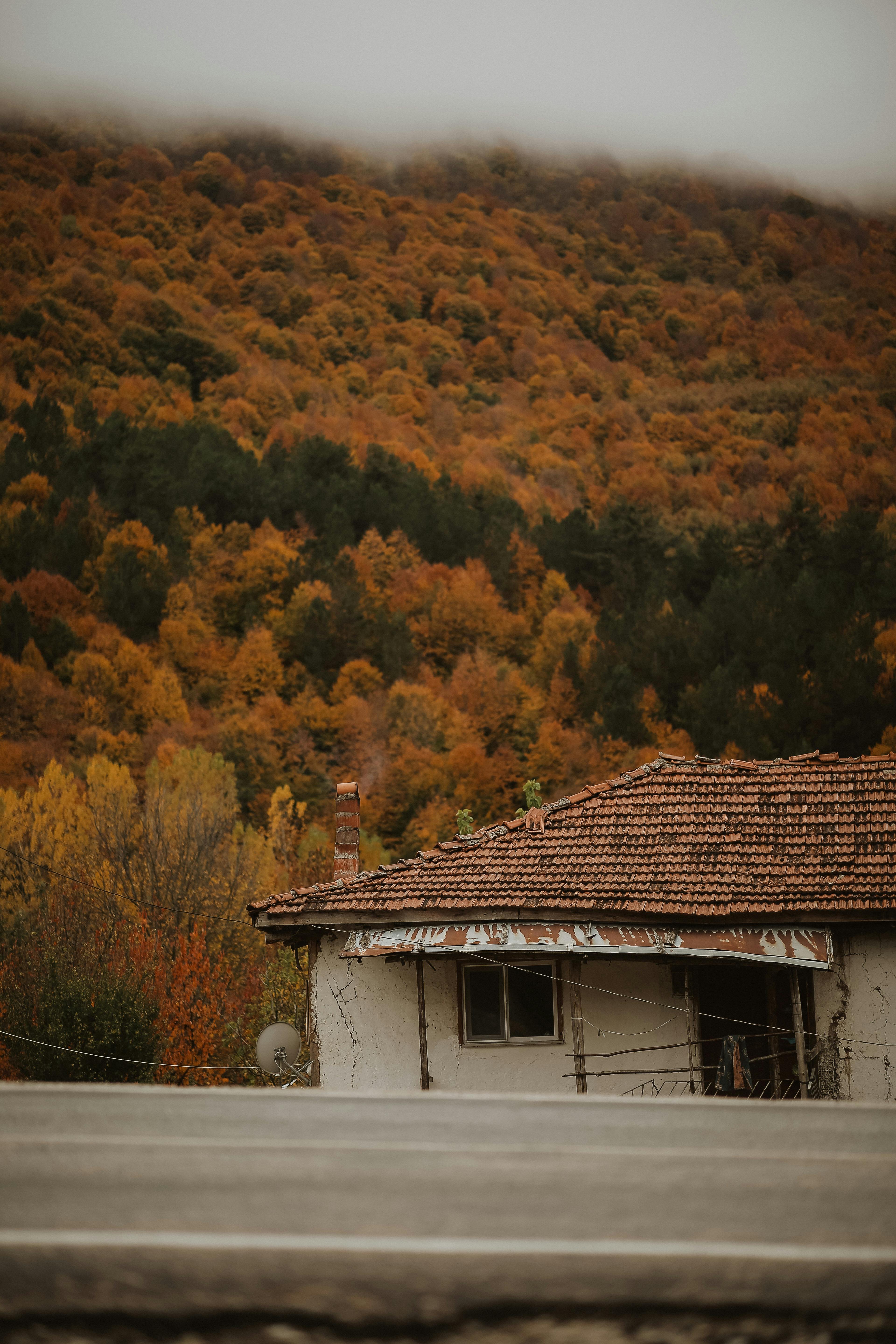 An abandoned house with a red tiled roof surrounded by vibrant autumn foliage.