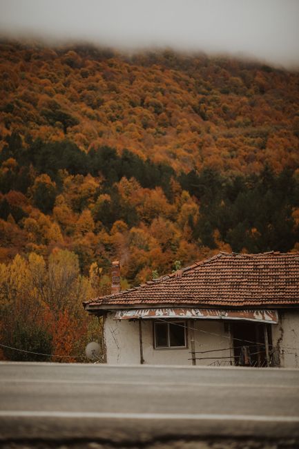 An abandoned house with a red tiled roof surrounded by vibrant autumn foliage.