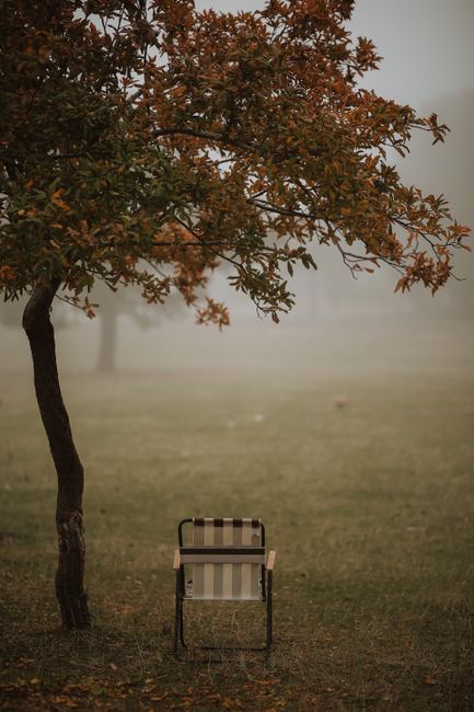 A peaceful autumn landscape featuring a solitary folding chair under a tree amidst fog.