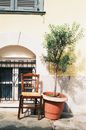 Olive Tree in Pot and Old Chair n Front of Building in Old Greek Town