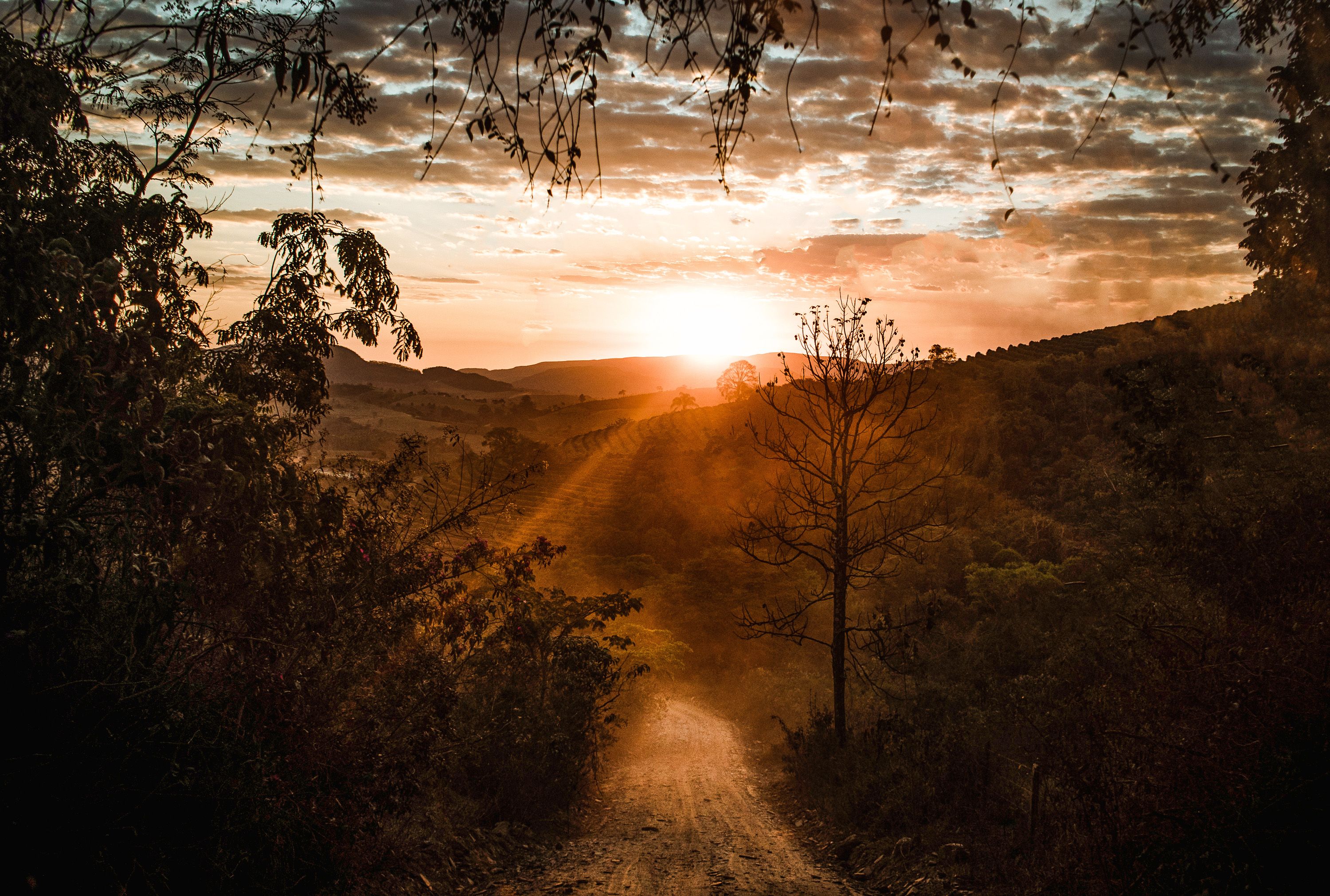 Travel Thursday: Why right now is the golden window for budget-friendly trips — Photo by Maurício Mascaro on Pexels