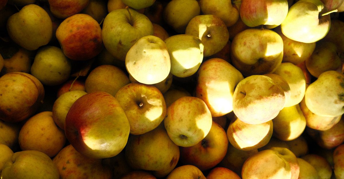 apple