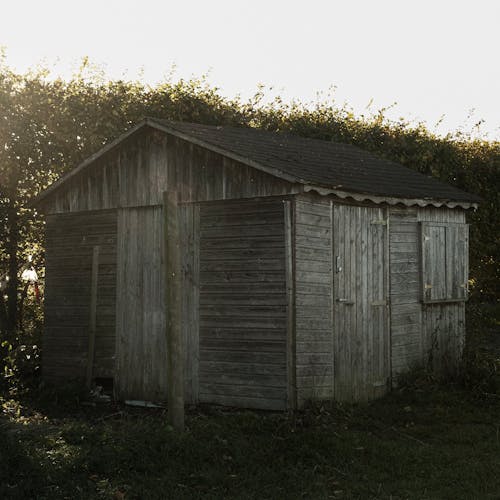 Free An Old Wooden Shed by a Privet  Stock Photo