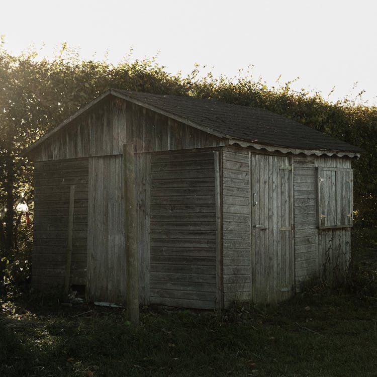 An Old Wooden Shed By A Privet 