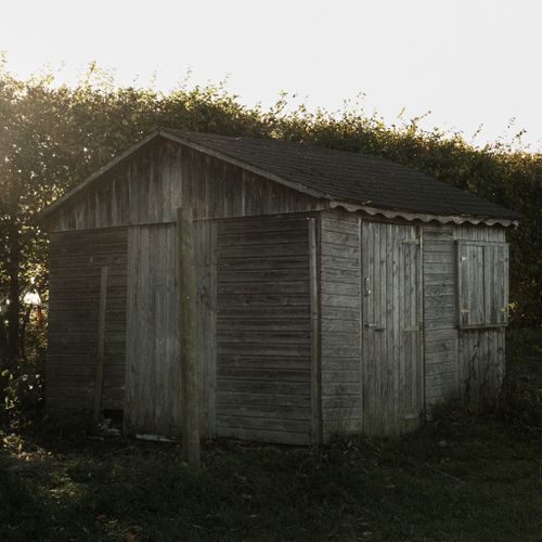 Free A wooden shed surrounded by lush greenery and lit by the soft glow of sunlight. Stock Photo