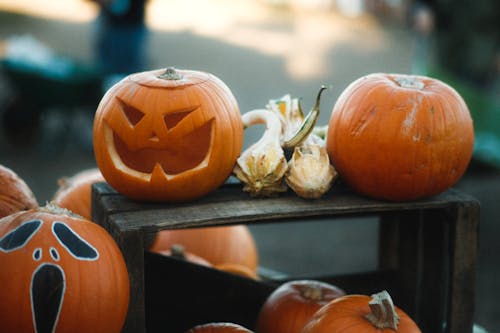 JackO Lanterns and Pumpkins