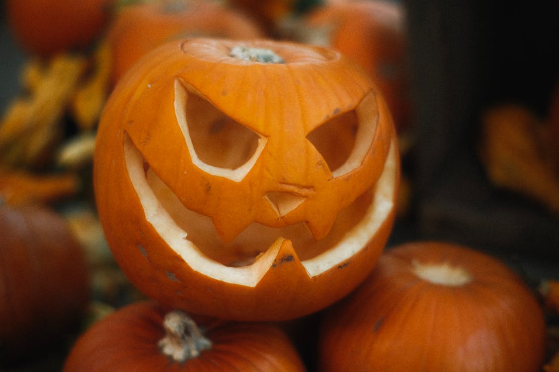JackO Lantern and Pumpkins · Free Stock Photo