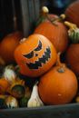 JackO Lantern and Pumpkins