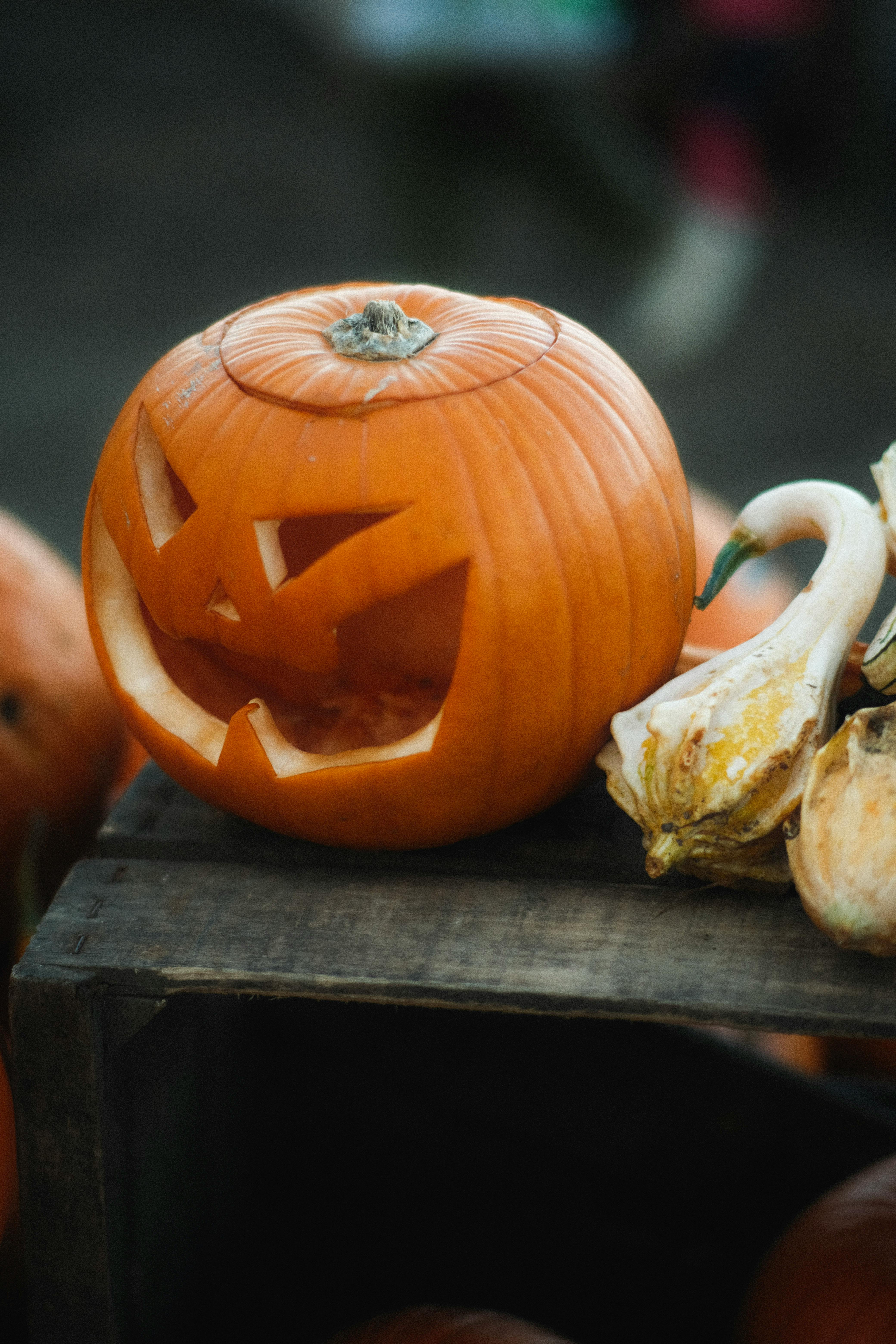 Jack o' lantern with carved face on a wooden crate, surrounded by autumn gourds. Perfect for Halloween ambiance.