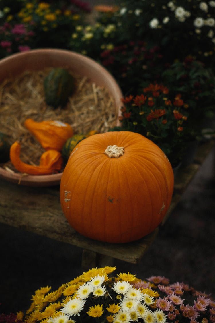 Autumn Still Life With Pumpkin And Chrysanthemums