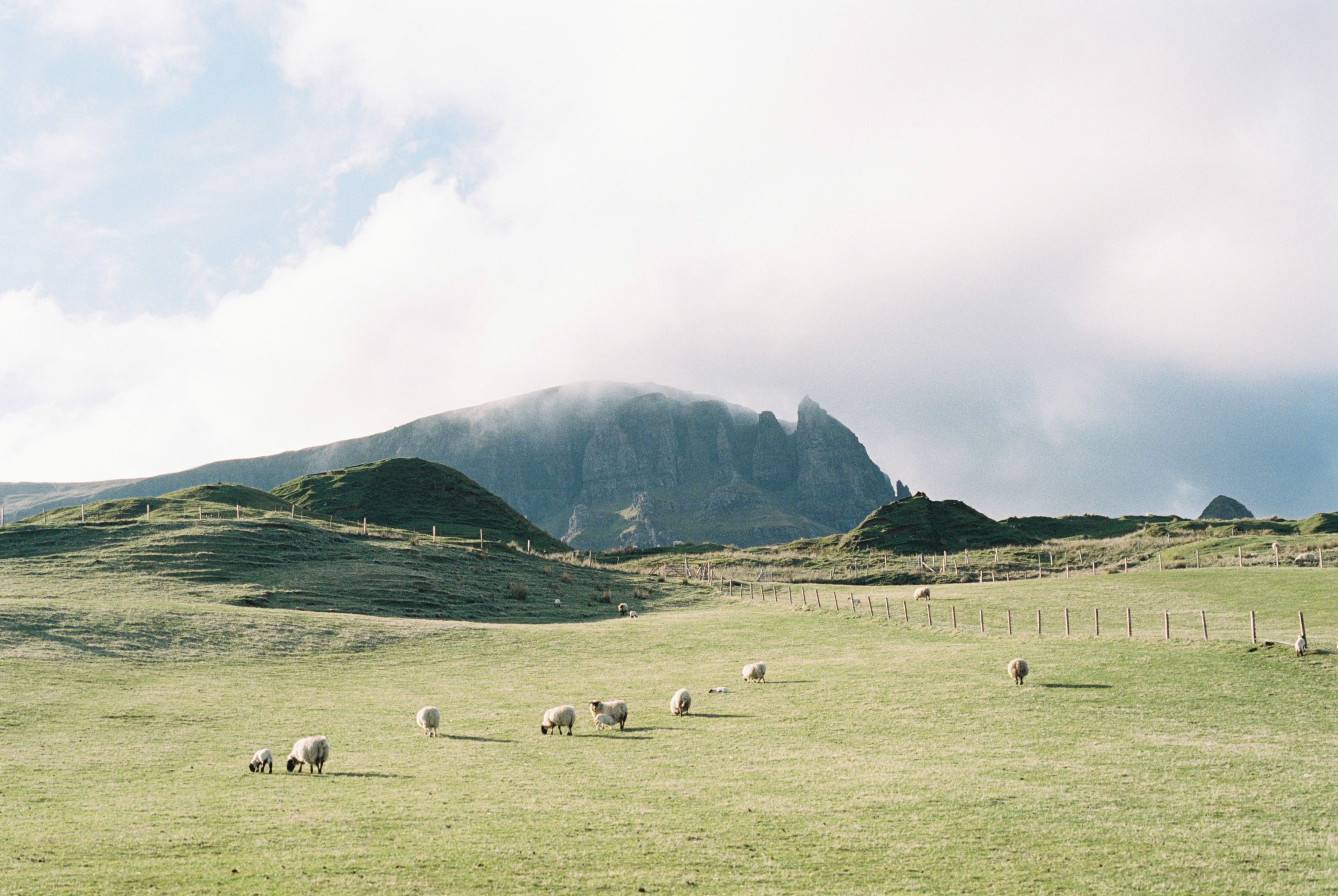 20,000+ Best Rolling Hills Photos · 100 Free Download ·