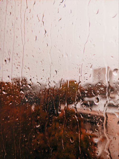 Gratis stockfoto met herfst, regen