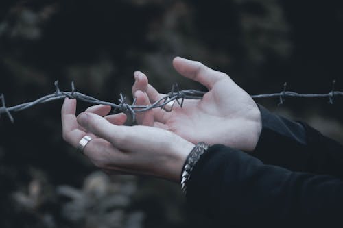 A Close-Up Shot of a Person Holding a Barbed Wire