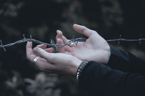 Free Close-up of hands gently holding barbed wire, emphasizing contrast. Stock Photo