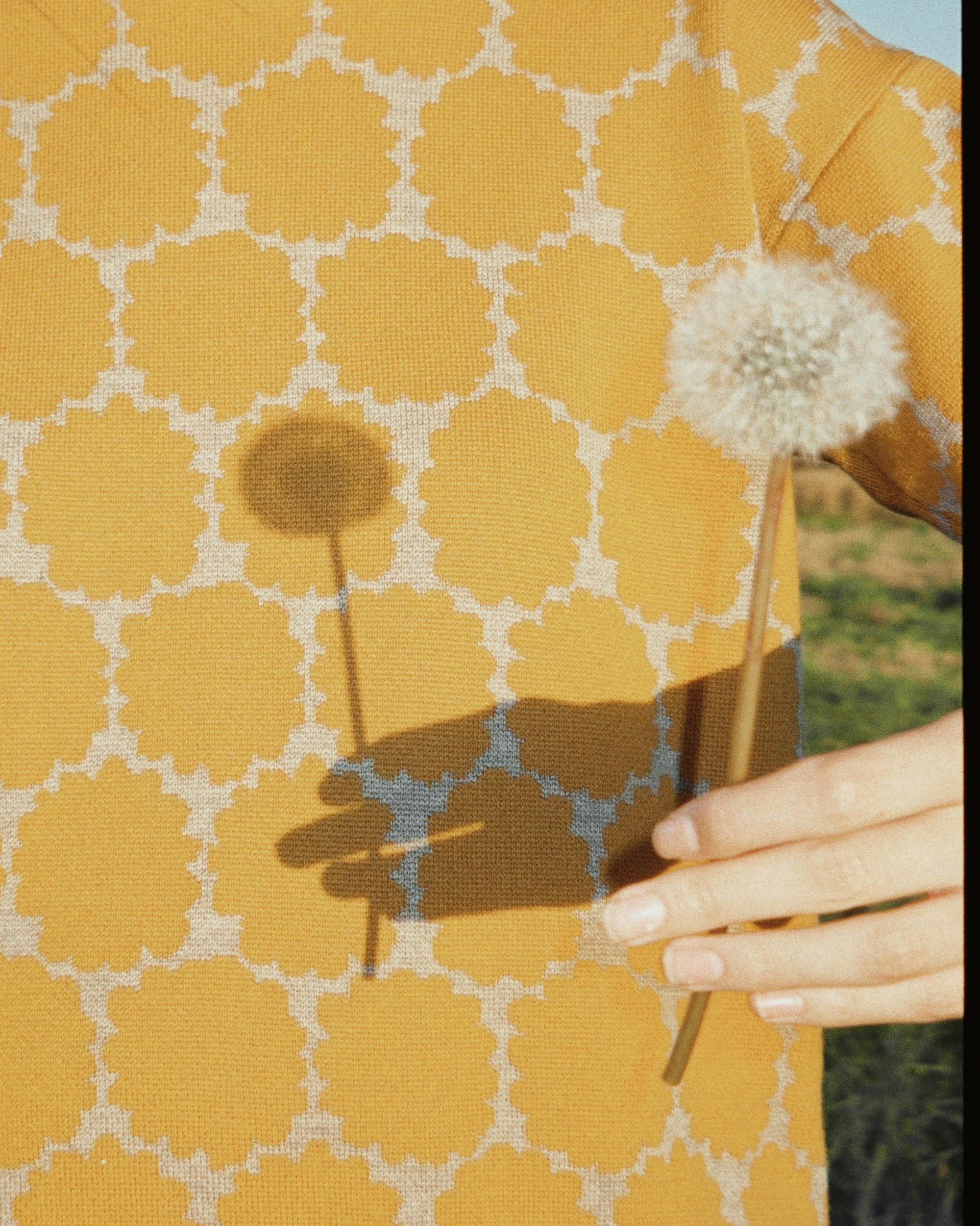 Close-up of a person holding a dandelion with a patterned fabric background. Sunny lighting and shadow play.
