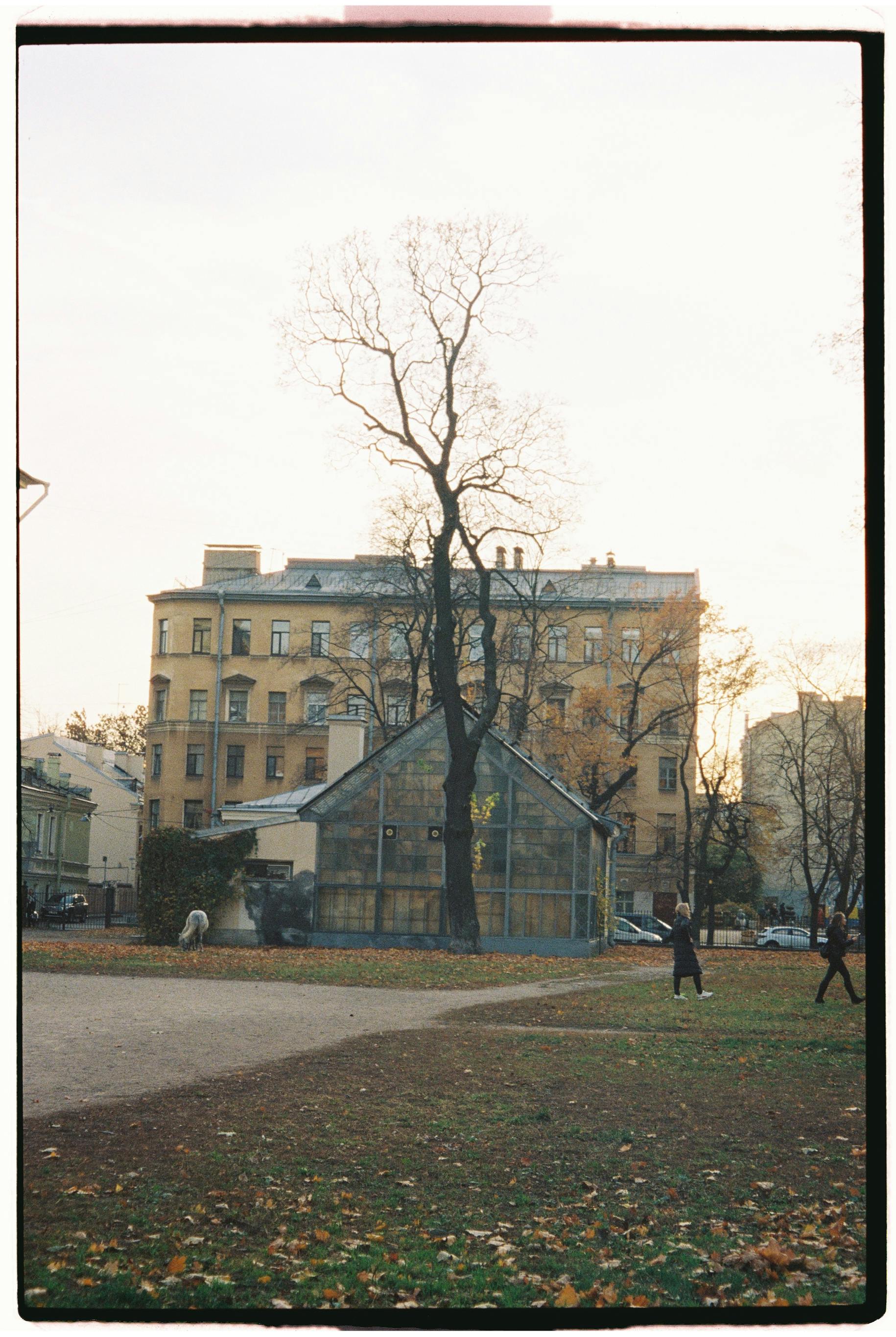 A serene urban park scene featuring historic buildings and walking paths in autumn.