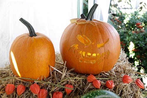 Close-Up Photo of Two Carved Pumpkins