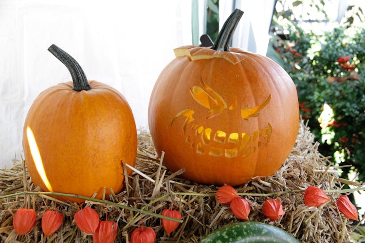 Close-Up Photo Of Two Carved Pumpkins