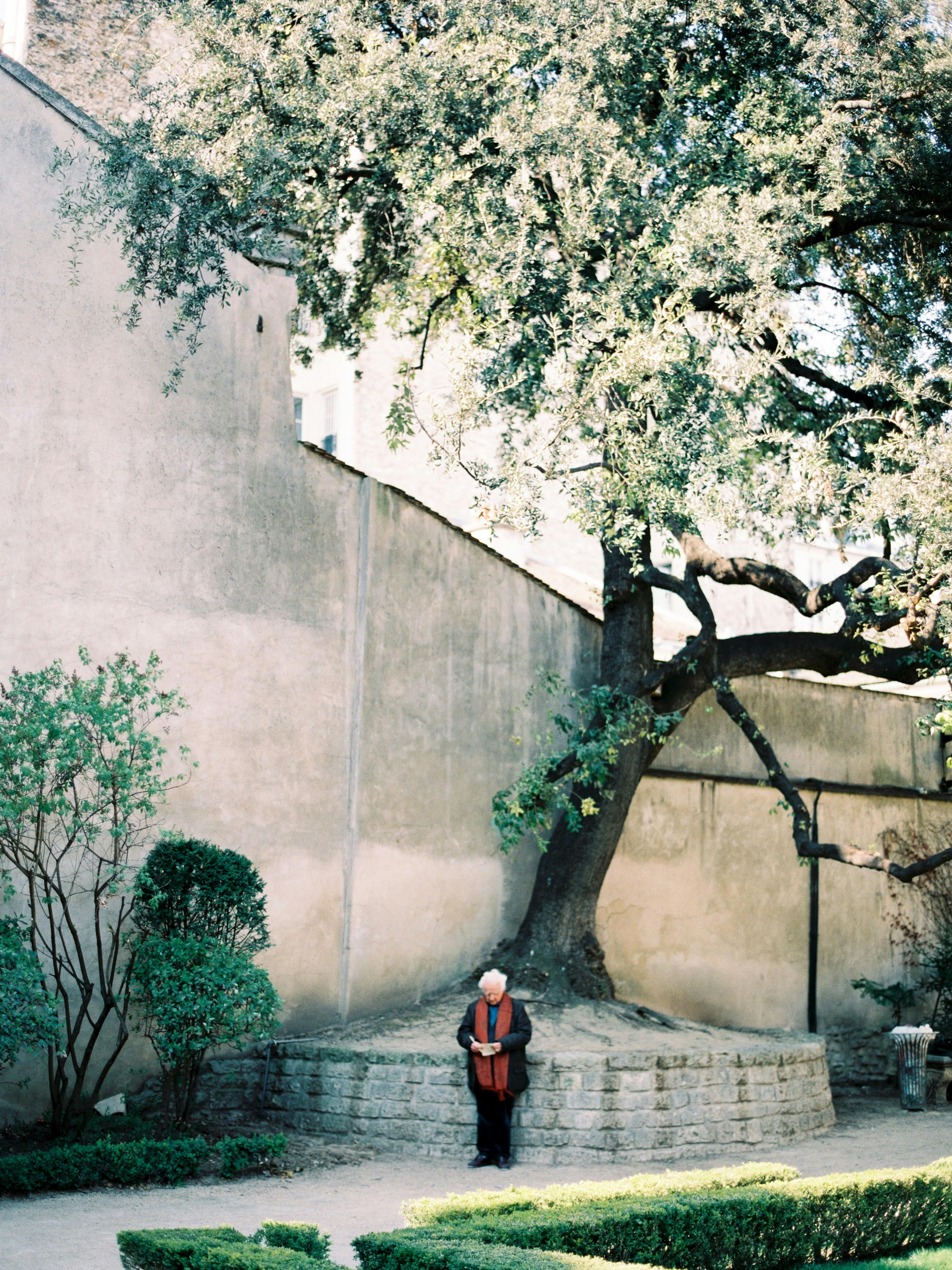 Elderly woman stands by a large oak tree against a concrete wall, creating a tranquil scene.
