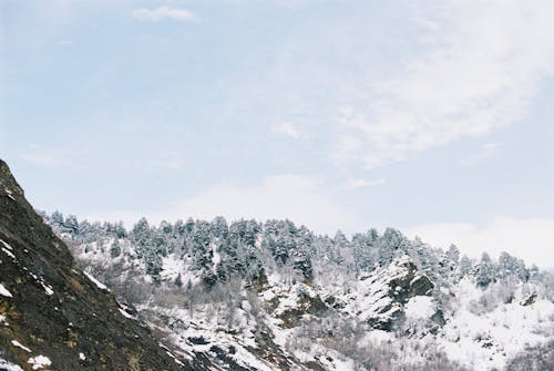 бесплатная Бесплатное стоковое фото с гора, горный пик, деревья Стоковое фото