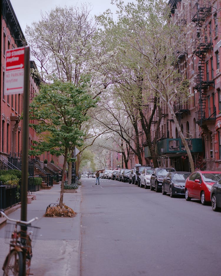 Cars Parked On A Quiet Residential Street