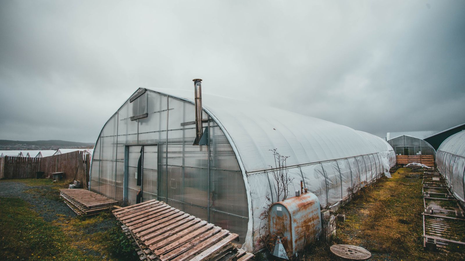 A large rural greenhouse surrounded by wooden pallets under an overcast sky, capturing the essence of modern agriculture.