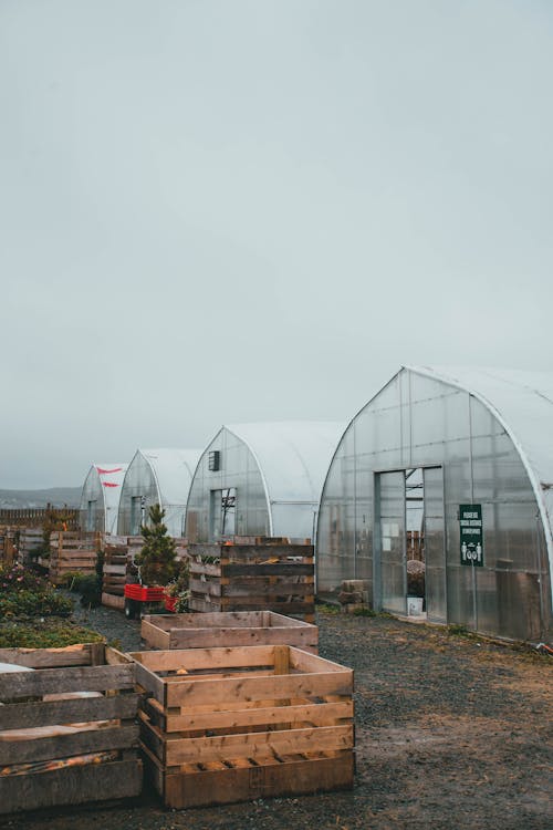 Overcast over Greenhouses