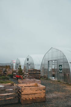 Agricultural greenhouses with wooden planters on a moody overcast day, perfect for organic farming.