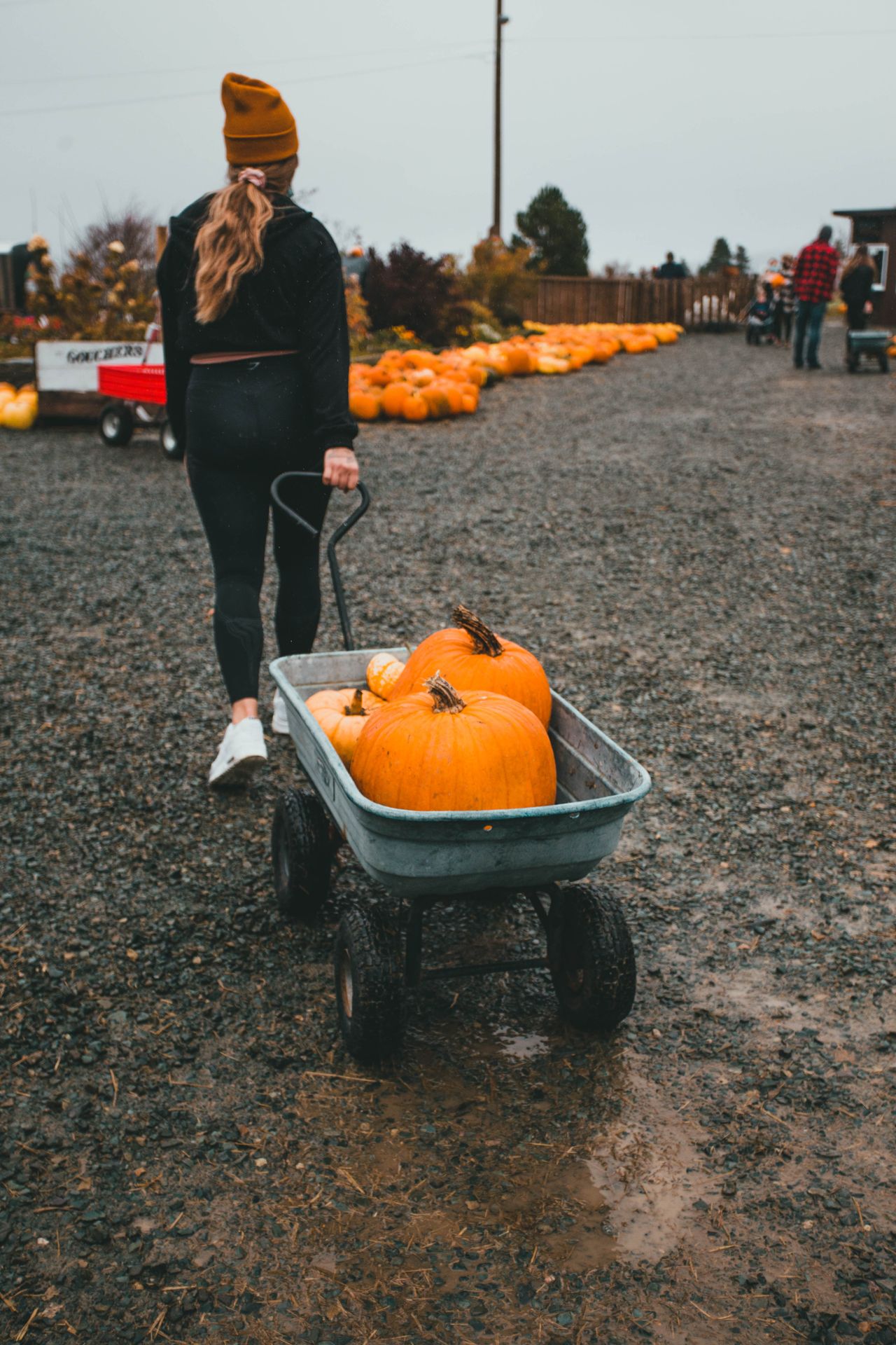 Woman in a mustard beanie, black hoodie and leggings pulling a wagon of pumpkins across a muddy farm path