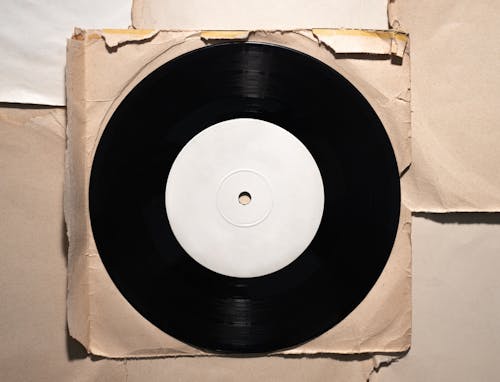 Close-Up Photo of a Black and White Vinyl Record