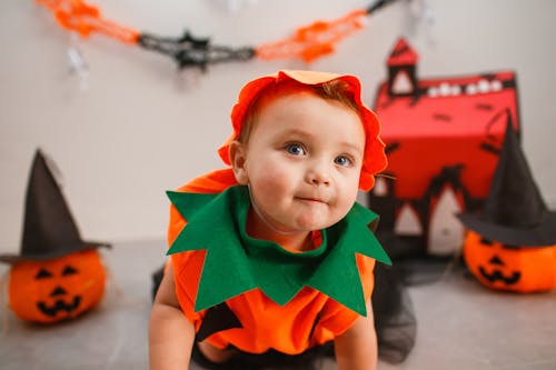 Gratis lagerfoto af baby, halloween dekorationer, halloween kostume