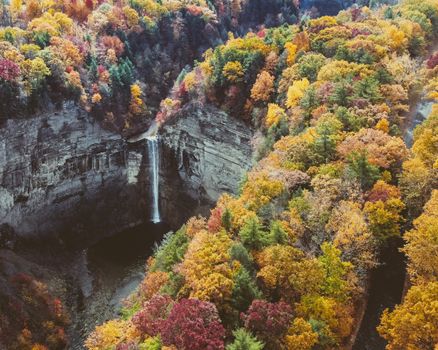High Angle View on Waterfall Surrounded by Autumn Forest
