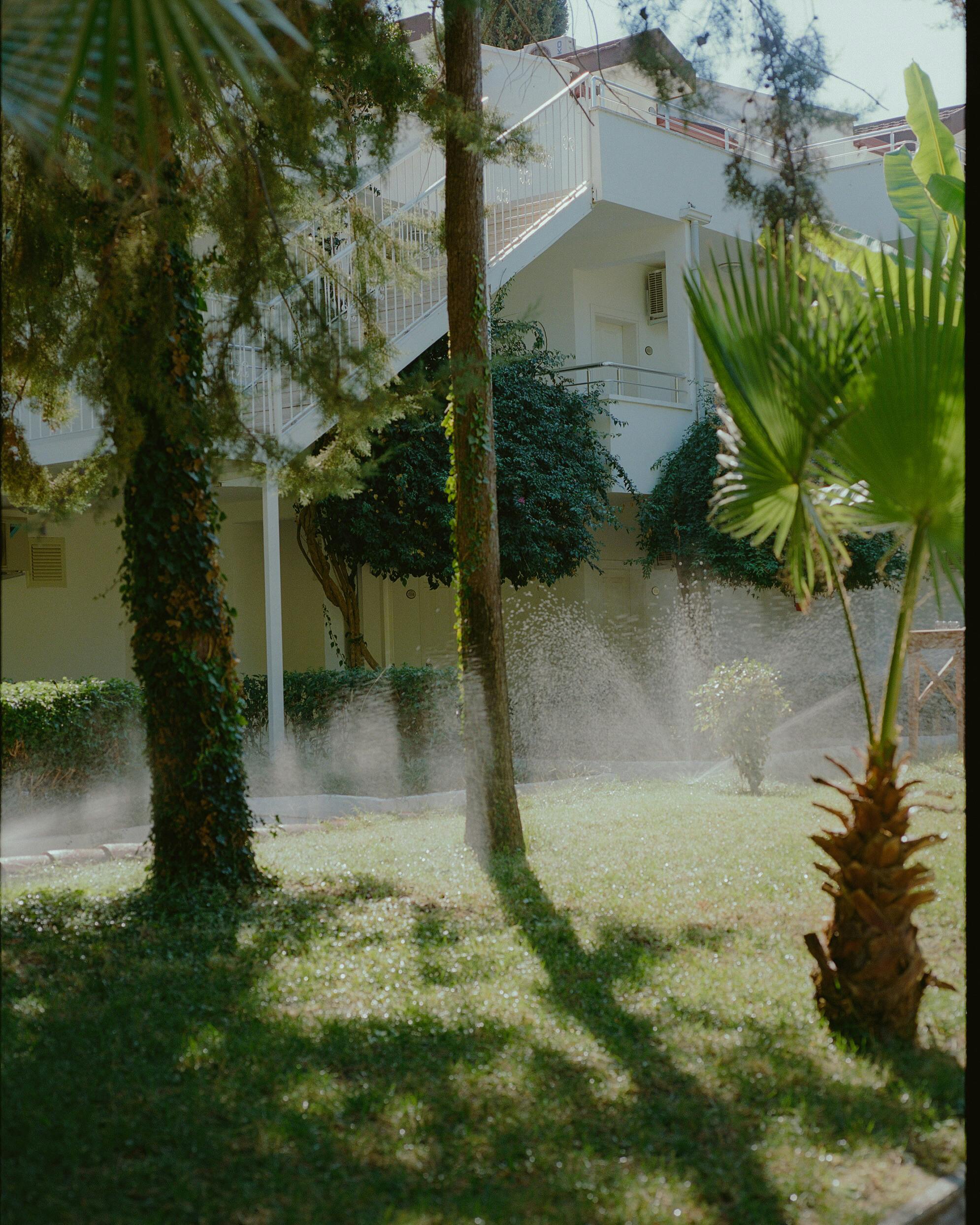A serene garden in Fethiye, Turkey, with palm trees and lush greenery being watered by sprinklers.