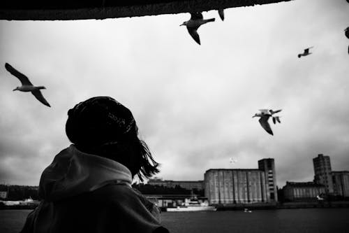 Woman Wearing Hoodie Jacket Looking at Flying Birds