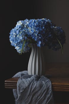Blue hydrangeas elegantly arranged in a white vase on a wooden table, draped with a soft shawl.