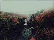 Waterfalls in the Middle of the Forest
