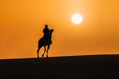 Silhouette of Man Riding Horse during Sunset