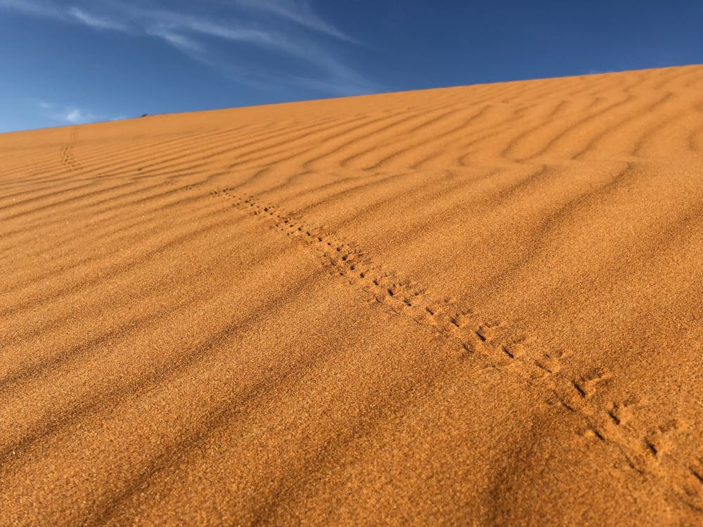 Imagine de stoc gratuită din arid, atrăgător, aventură