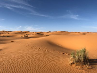 Desert landscape in Nevada