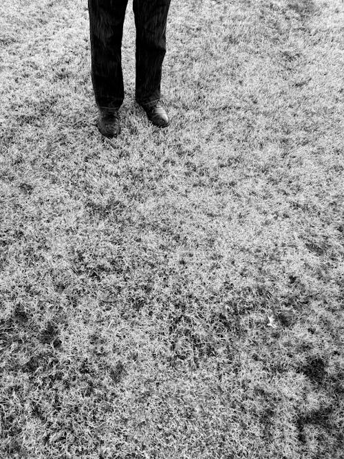 Foto d'estoc gratuïta de camp, dempeus, escala de grisos