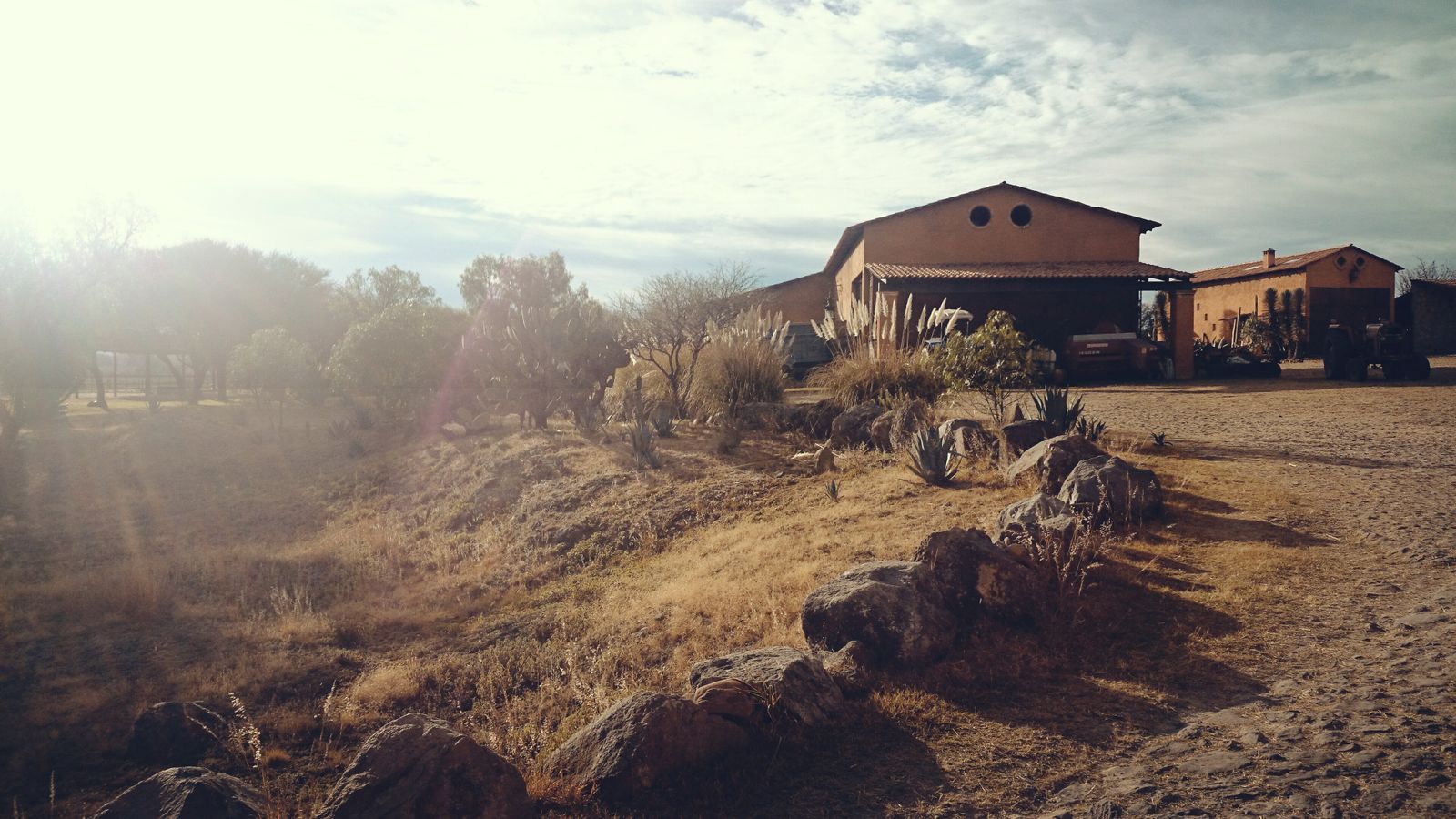 Desert homestead ranch property