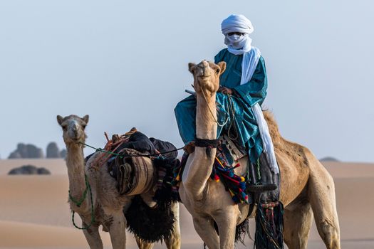 A Person Riding on a Camel