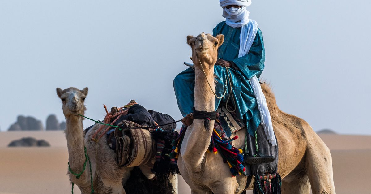 Someone Riding Camel A Person Riding on a Camel · Free Stock Photo