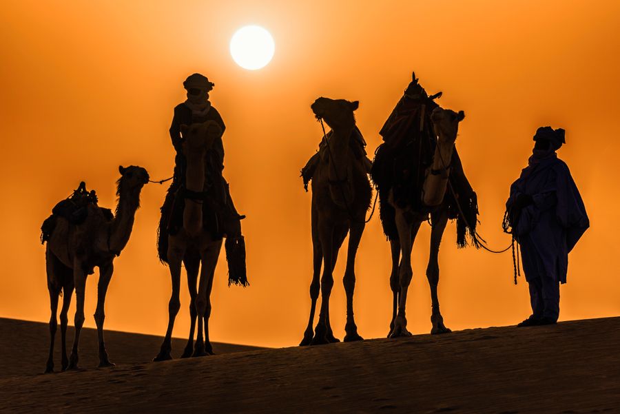 Agafay Desert Sunset Camel Ride & Dinner Gallery 1