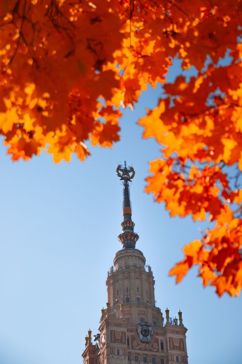 Free A stunning view of Moscow State University's tower framed by vibrant autumn leaves. Stock Photo