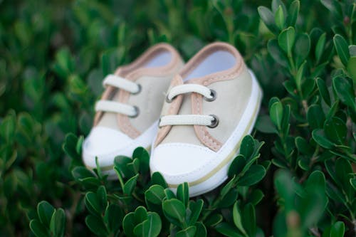 Free White and Brown Canvas Baby Sneakers on Green Grass Stock Photo