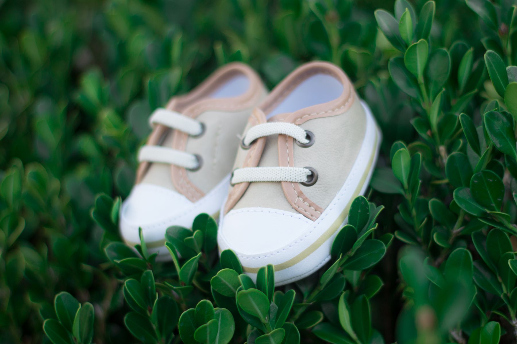 White and brown baby sneakers placed on green grass